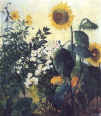 iwz Sonnenblumen xx kl iwz Sonnenblumen xx kl