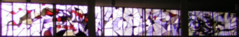 DSCN2545a x DSCN2545a x
