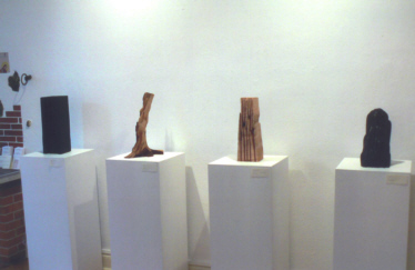 25 David Nash 2009 1 a