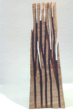 27 David Nash 2009 1 c