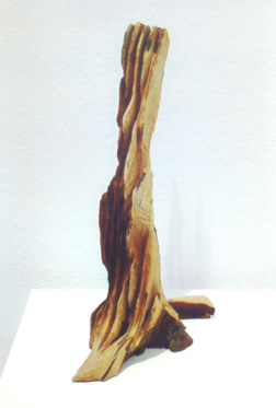 28 David Nash 2009 1 b