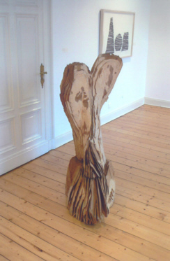 36 David Nash 2009 5 d