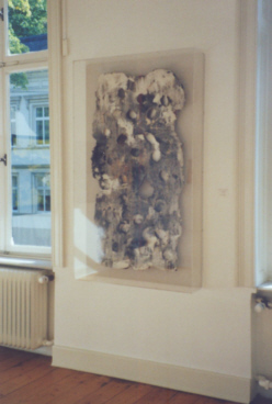 E Schumacher 2003 06 a y