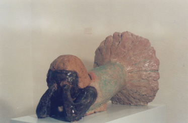 Ikemura 2007 b - Kopie