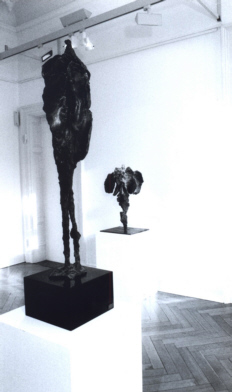 Schnitzler 2001 2 x