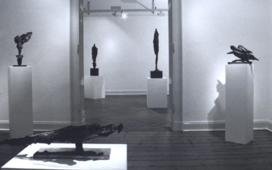 Schnitzler 2001 6 x