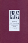 H076 Sca0013cvaKL