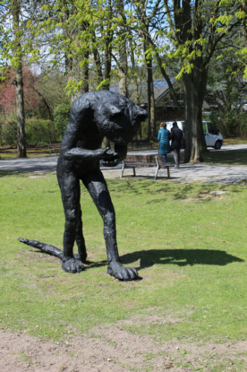 x IMG_6352_2 y
