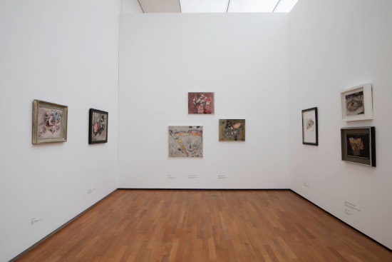 x 20240601-_AN_0519 x 550