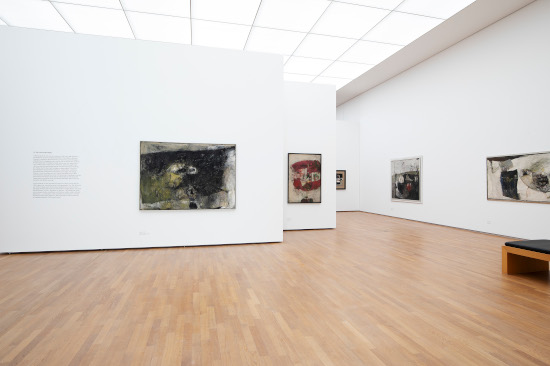 x 20240601-_AN_0529 550