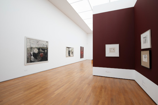 x 20240601-_AN_0537 550