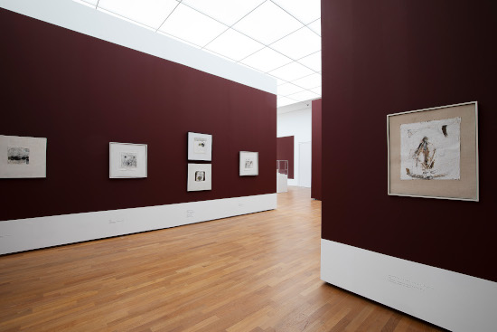 x 20240601-_AN_0539 550