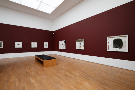 x 20240601-_AN_0544 550