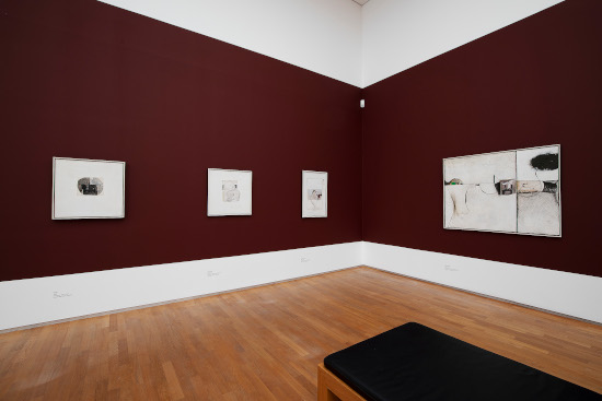 x 20240601-_AN_0547 550